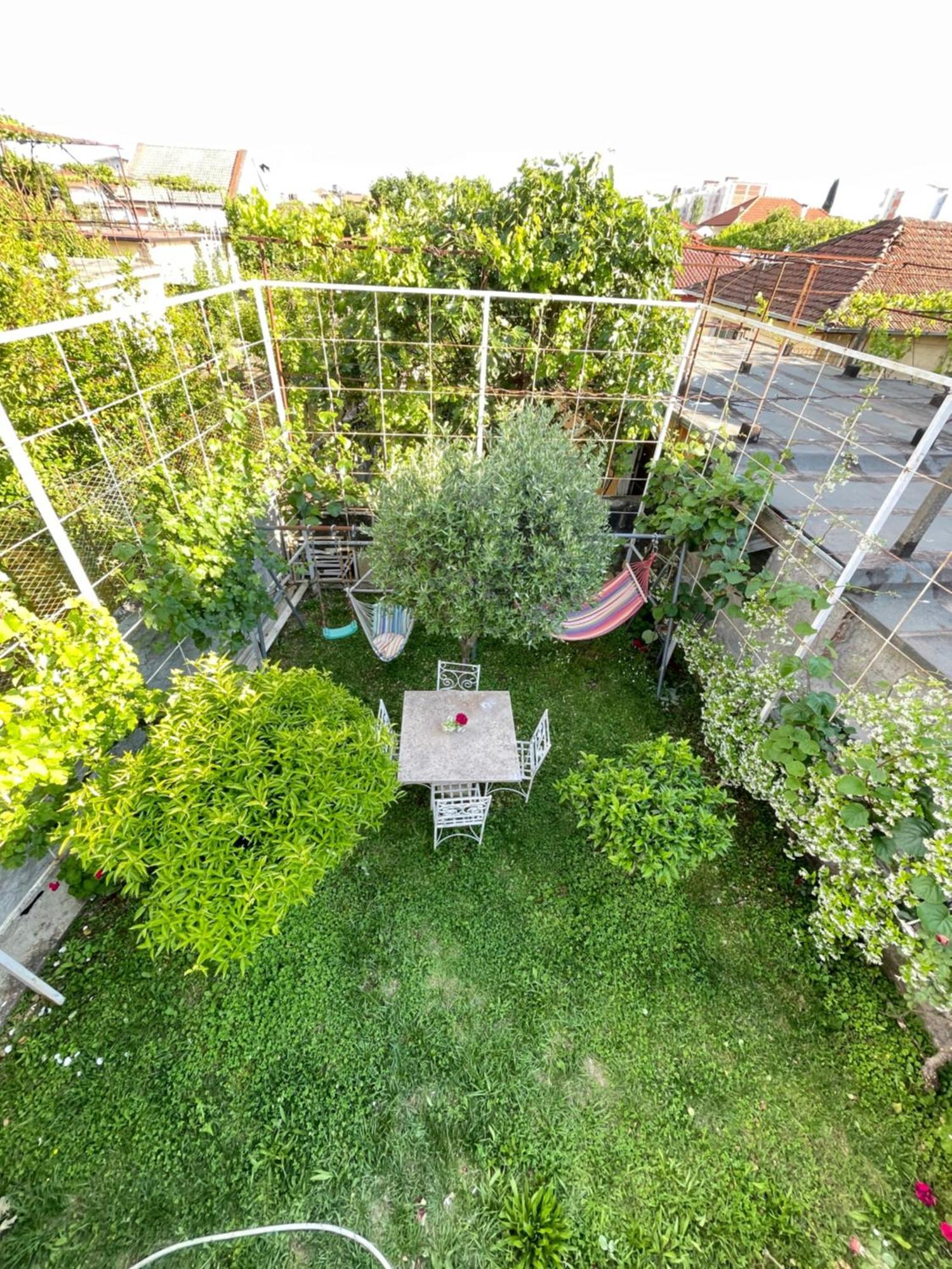 Vila Nela Shkodër Екстериор снимка