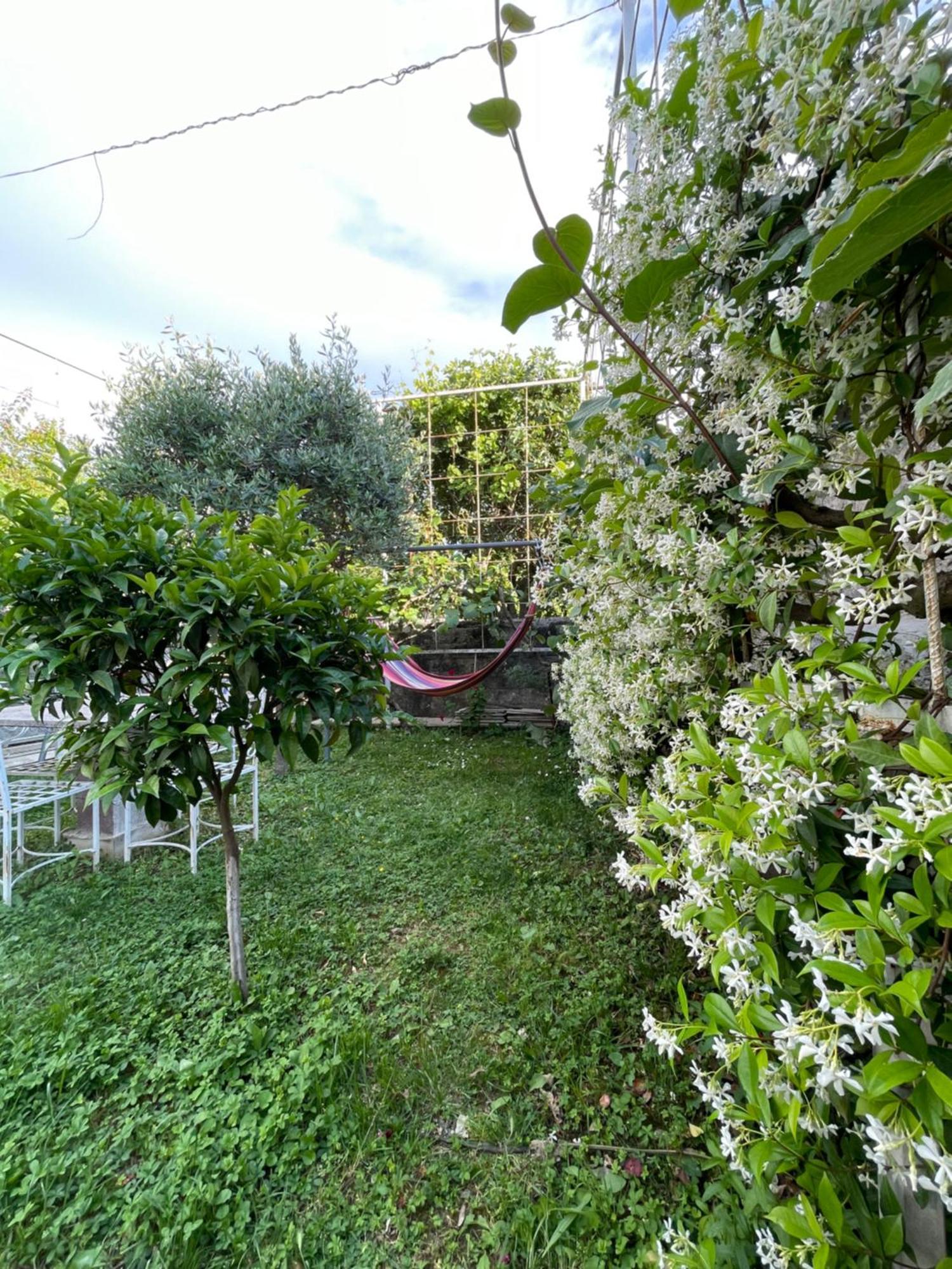 Vila Nela Shkodër Екстериор снимка