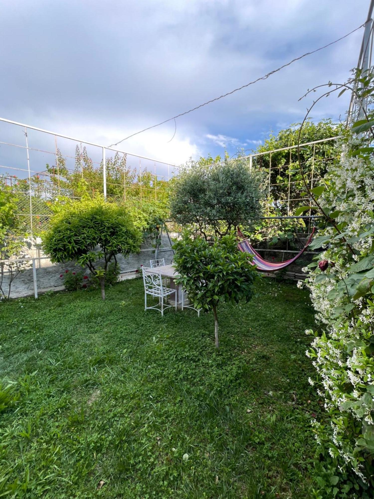 Vila Nela Shkodër Екстериор снимка