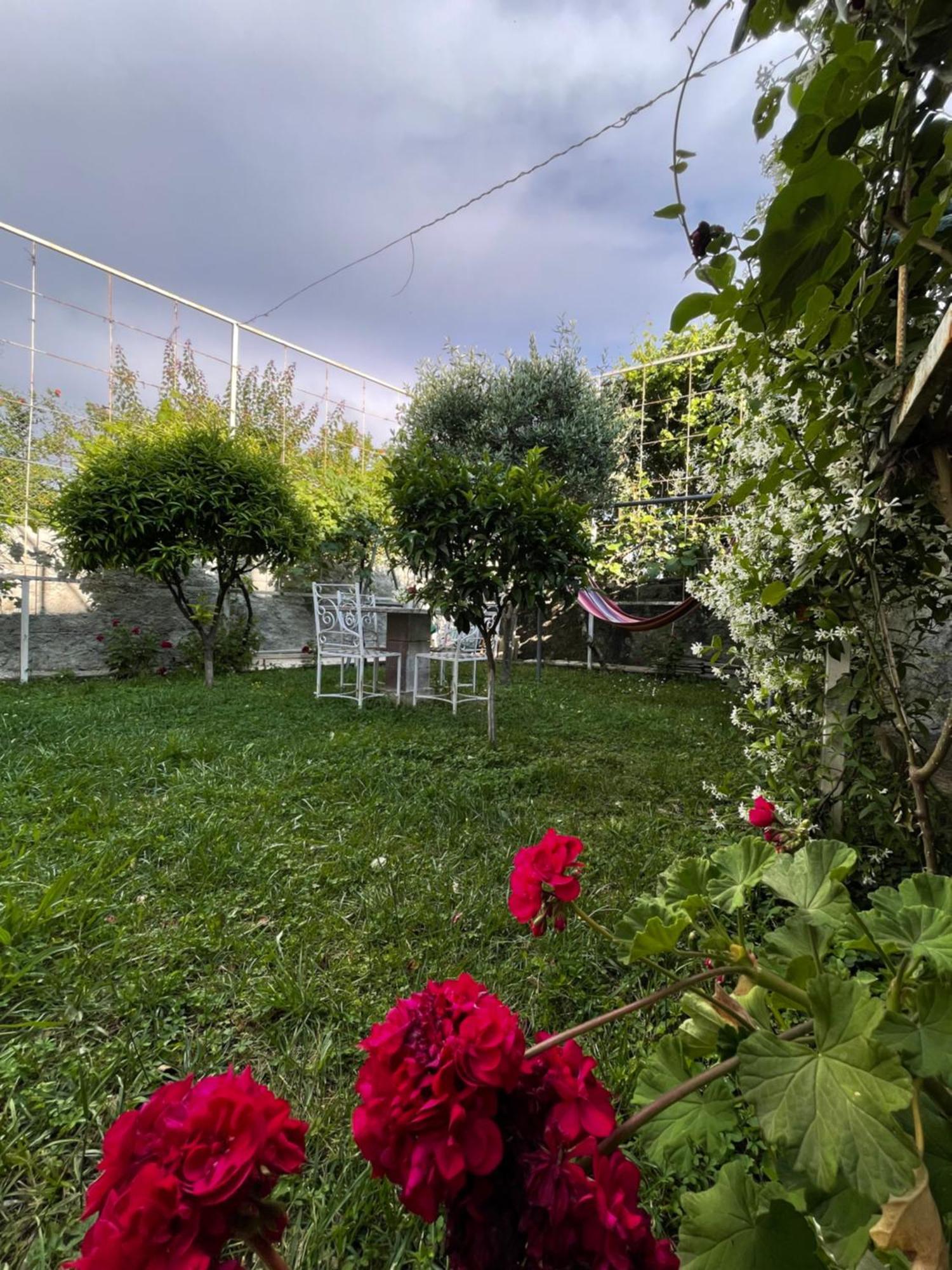Vila Nela Shkodër Екстериор снимка